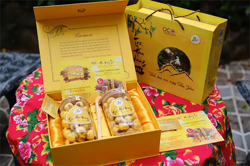 Trà Hoa Vàng Tiên Yên: Hành Trình Nâng Tầm Đặc Sản Địa Phương Thành Thương Hiệu OCOP Giá Trị
