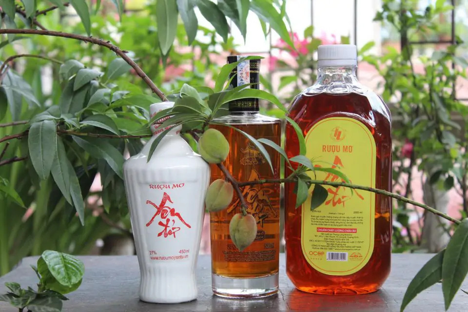 Yên Tử Mơ Vàng: Hương Vị Thiêng Liêng, Tinh Hoa Hội Tụ Trong Mỗi Giọt Rượu OCOP