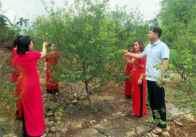Quảng Ninh: "Vườn hoa" du lịch nông nghiệp nở rộ, "trái ngọt" kinh tế đơm bông