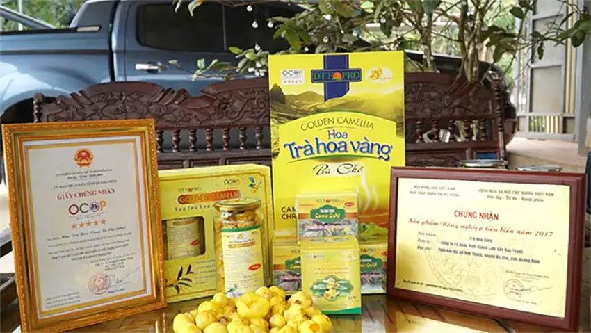 Trà Hoa Vàng Ba Chẽ - Đặc sản Quảng Ninh tỏa sáng trên bản đồ OCOP quốc gia